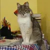 Отзыв от Зоя Астахова